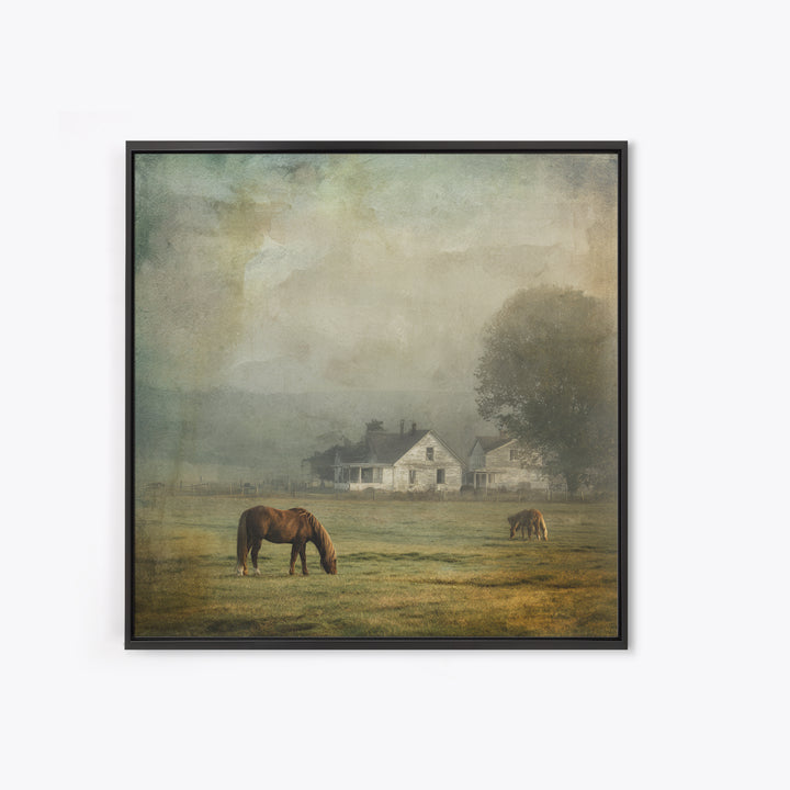 Rolling Pasture with Grazing Horses at Sunrise Framed Canvas Print, Country Art, Farmhouse Wall Art, Farmhouse Decor, Country, COU-1x1-1