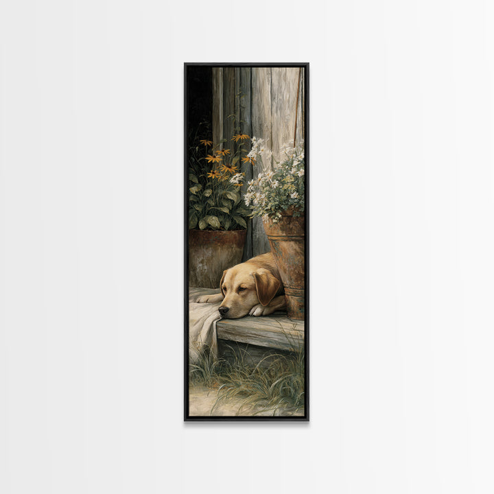 Dog Resting Beside a Porch Flower Pot Canvas Print, Country Art, Gallery Decor, Farmhouse Decor, Fine Art, Country, COU-1x3-82