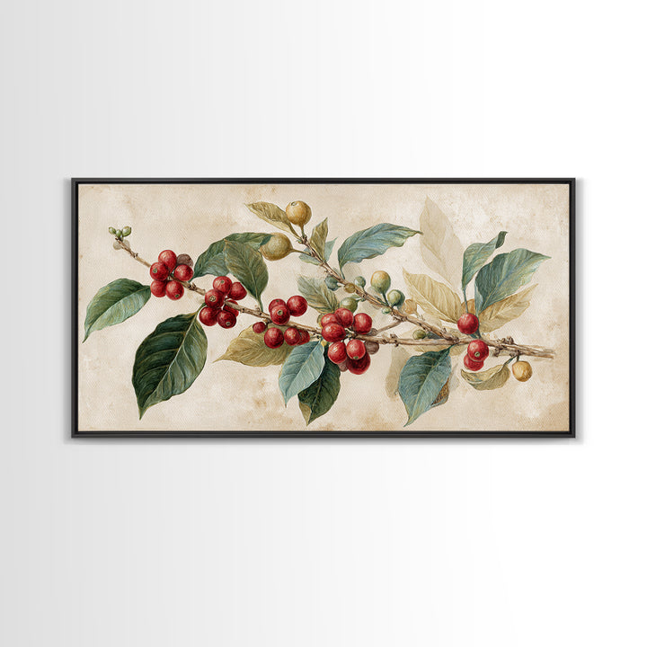Botanical Coffee Plant Branch Framed Canvas Print, Coffee Shop Art, Coffee, Cafe Decor, Oil Painting, Cafe, Living Room Decor, CSA-2x1-50