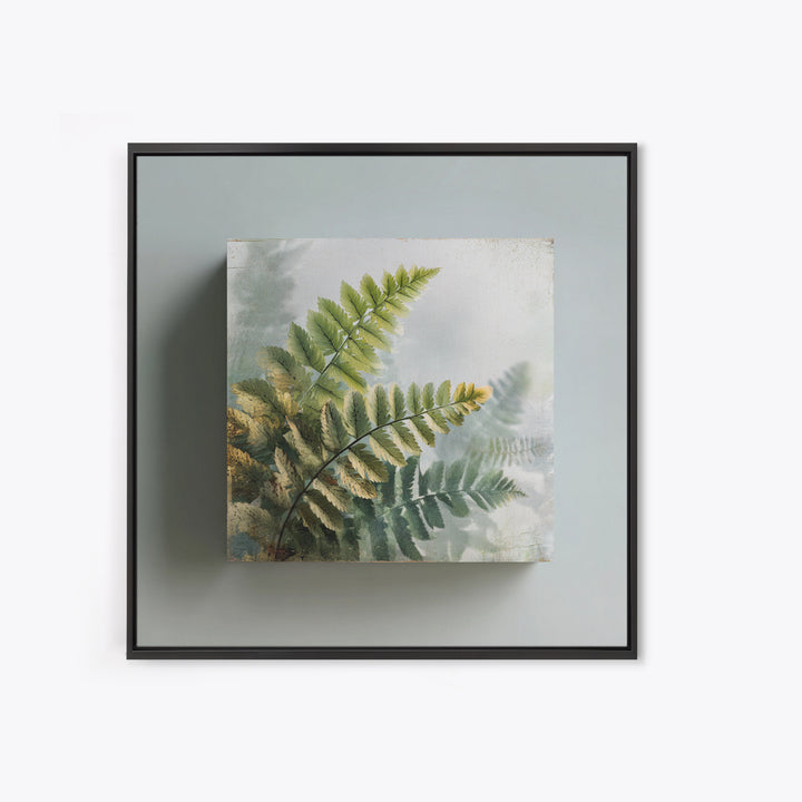 Botanical Fern Study Canvas Print, Dental Office Art, Dental, Office Decor, Fine Art, Calm, Tooth Art, Dentistry Art, DOA-1x1-19