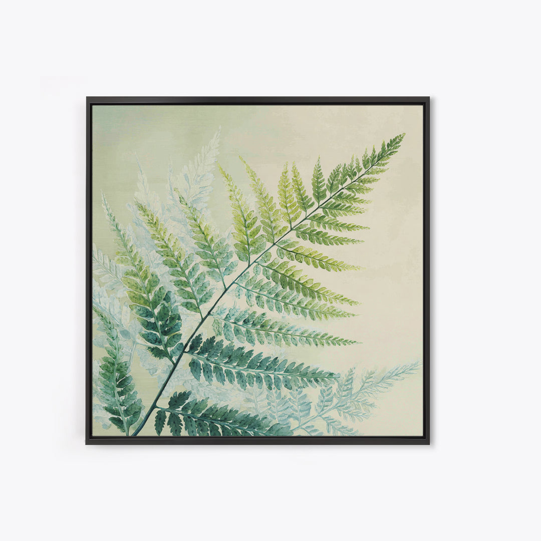 Botanical Fern Study Framed Canvas Print, Dental Office Art, Dental Hygiene, Office Decor, Fine Art, Calm, Medical Office Art, DOA-1x1-43