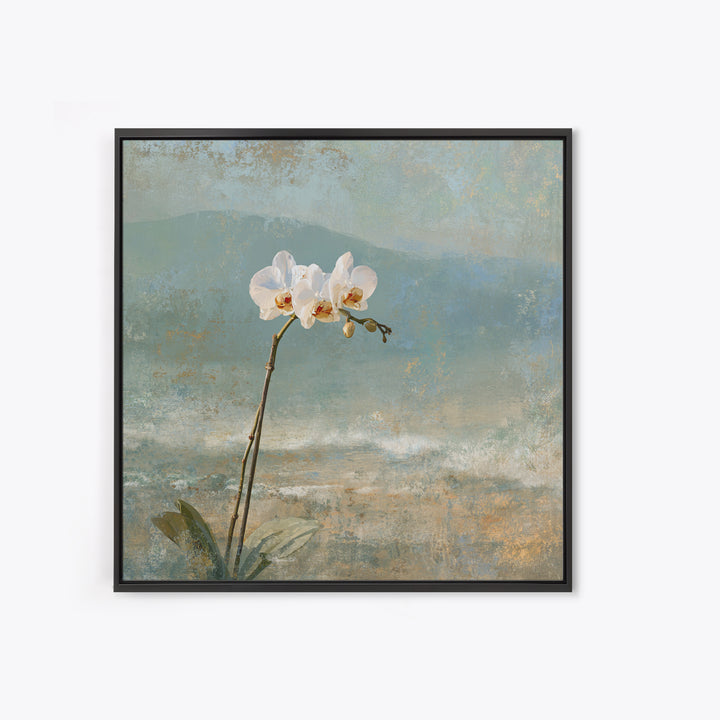 White Orchid on Stone Background Canvas Print, Dental Office Art, Dental Decor, Office Decor, Fine Art, Calm, Wall Decor, DOA-1x1-60