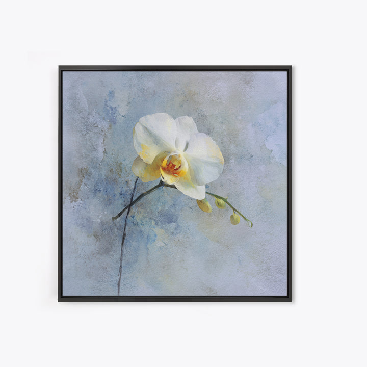 White Orchid on Stone Background Framed Canvas Print, Dental Office Art, Dental Gift, Office Decor, Abstract Art, Calm, DOA-1x1-84