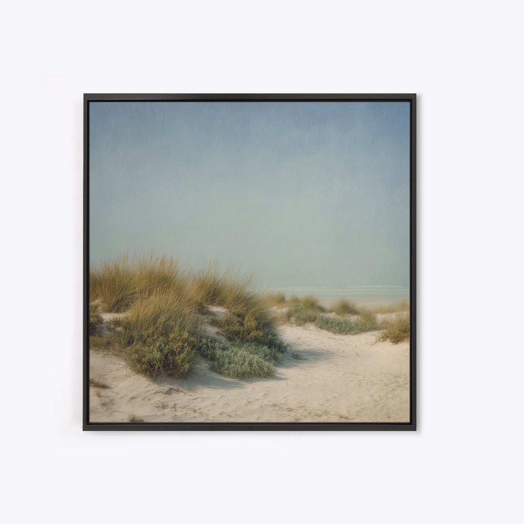Quiet Coastal Dunes Canvas Print, Dental Office Art, Printable Digital, Office Decor, Calm, Neutral Decor, Modern Decor, DOA-1x1-94