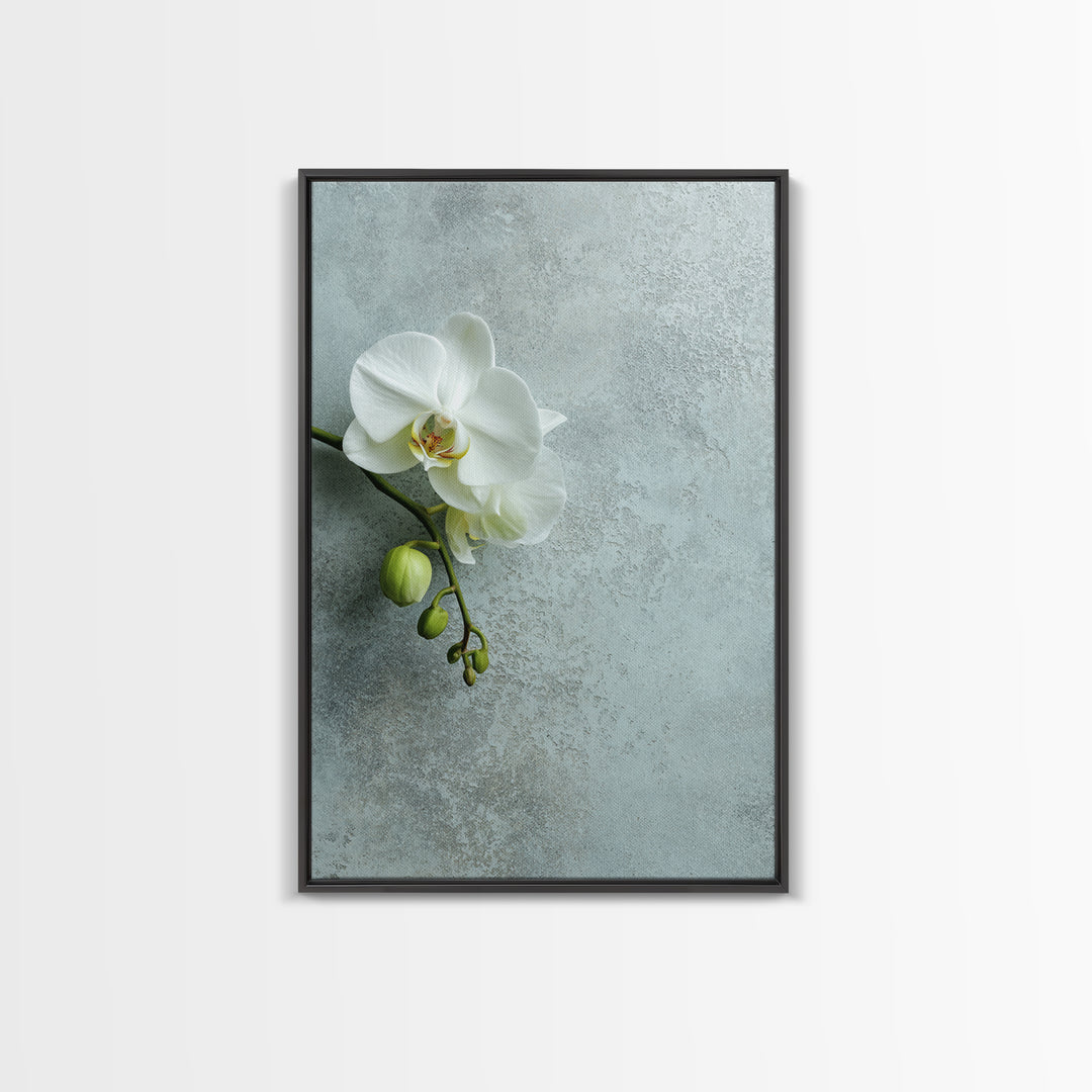 White Orchid on Stone Background Framed Canvas Print, Dental Office Art, Modern Decor, Office Decor, Fine Art, Calm, Poster, DOA-2x3-68