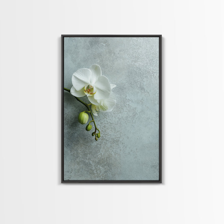 White Orchid on Stone Background Framed Canvas Print, Dental Office Art, Modern Decor, Office Decor, Fine Art, Calm, Poster, DOA-2x3-68