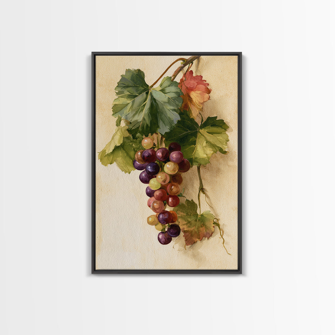 Botanical Grapevine with Leaves and Fruit Canvas Print, Dining Room Art, Large Wall Art, Dining Room Decor, Fine Art, Dining, DRA-2x3-77