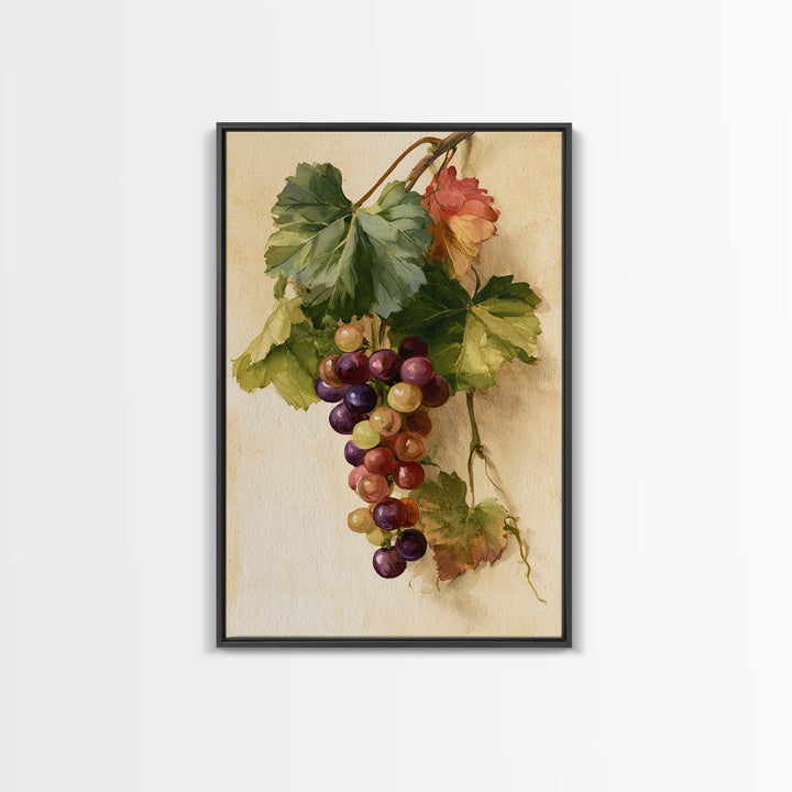 Botanical Grapevine with Leaves and Fruit Canvas Print, Dining Room Art, Large Wall Art, Dining Room Decor, Fine Art, Dining, DRA-2x3-77