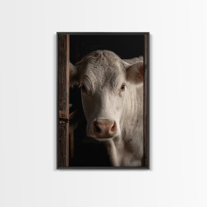 White Cow Portrait Framed Canvas Print, Farmhouse Art, Printable Wall Art, Farmhouse Decor, Fine Art, Harvest, Black Wall Art, FAR-2x3-33