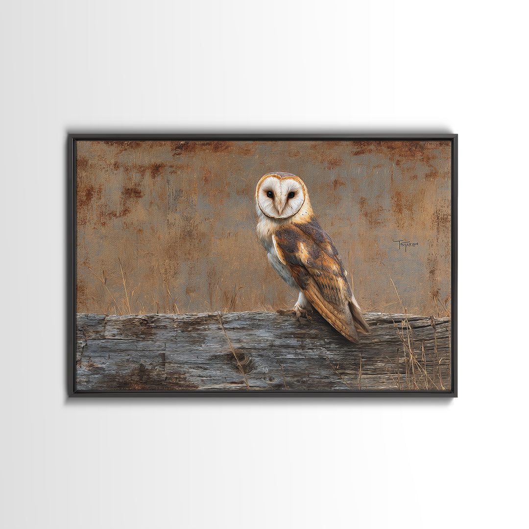 Barn Owl Perched on Aged Wood Framed Canvas Print, Farmhouse Art, Minimalist Decor, Farmhouse Decor, Fine Art, Harvest, FAR-3x2-99