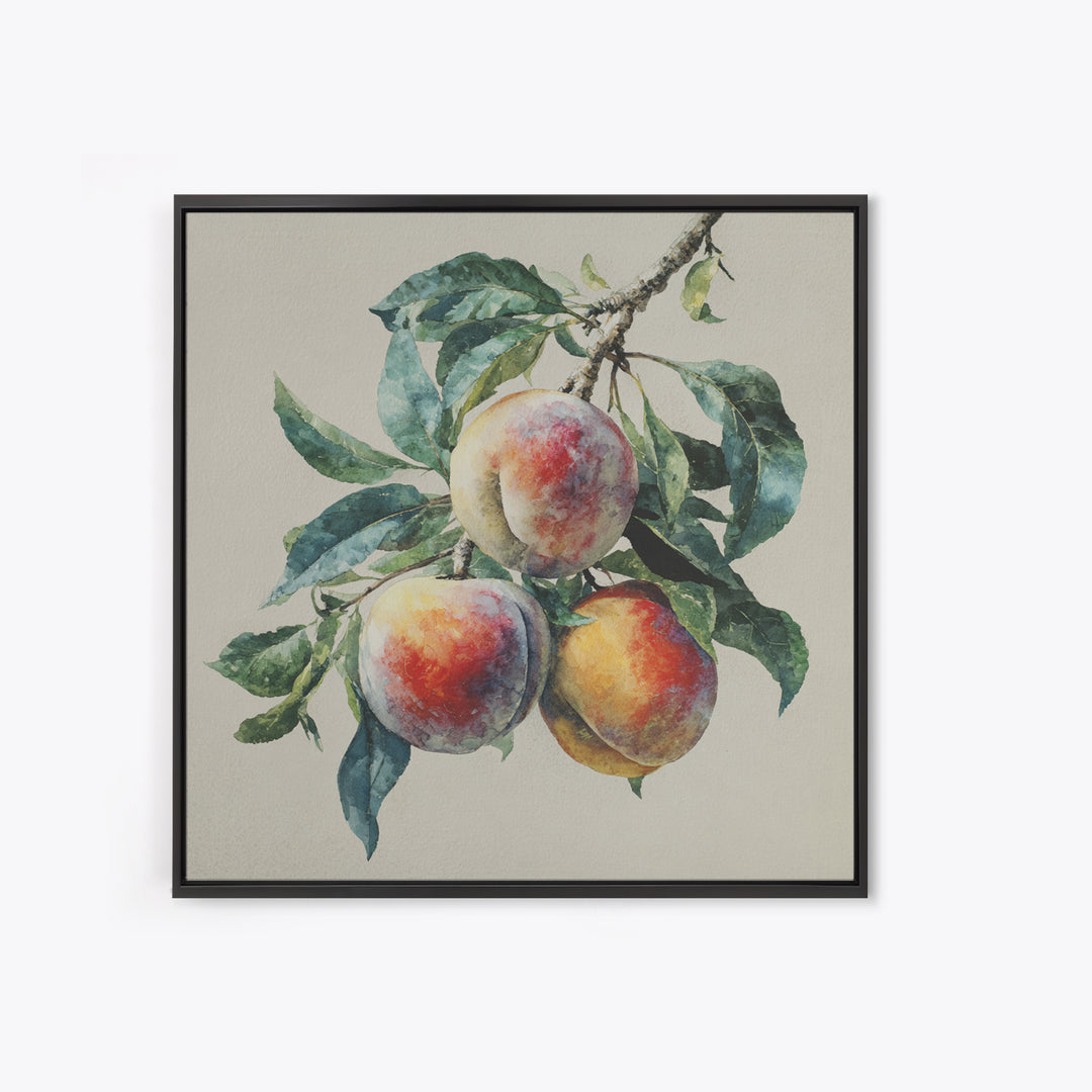 Still Life of Peaches Canvas Print, Impressionist Art, Textured Wall Art, Living Room Decor, Impression, Landscape Painting, IMP-1x1-23