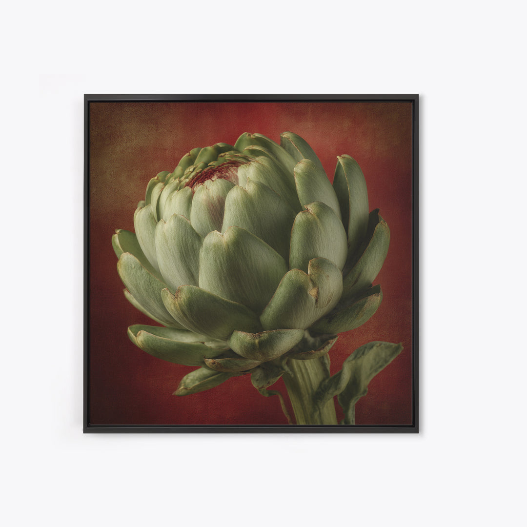 Artichoke Closeup in Painterly Green Tones Canvas Print, Kitchen Art, Prints, Kitchen Decor, Kitchen, Kitchen Wall Decor, KIT-1x1-20