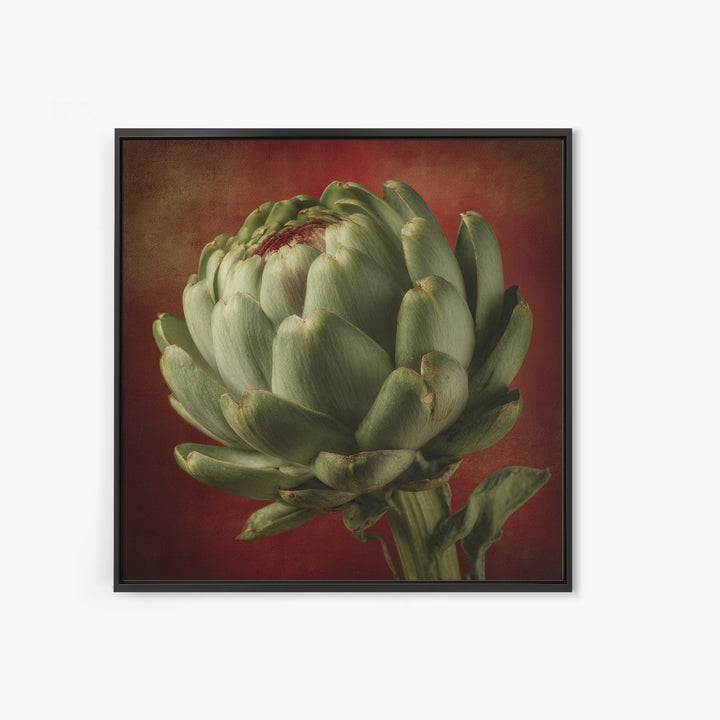 Artichoke Closeup in Painterly Green Tones Canvas Print, Kitchen Art, Prints, Kitchen Decor, Kitchen, Kitchen Wall Decor, KIT-1x1-20