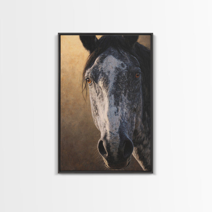 Contemporary Horse Portrait Framed Canvas Print, Living Room Art, Home Decor, Living Room Decor, Fine Art, Living, LIR-2x3-18
