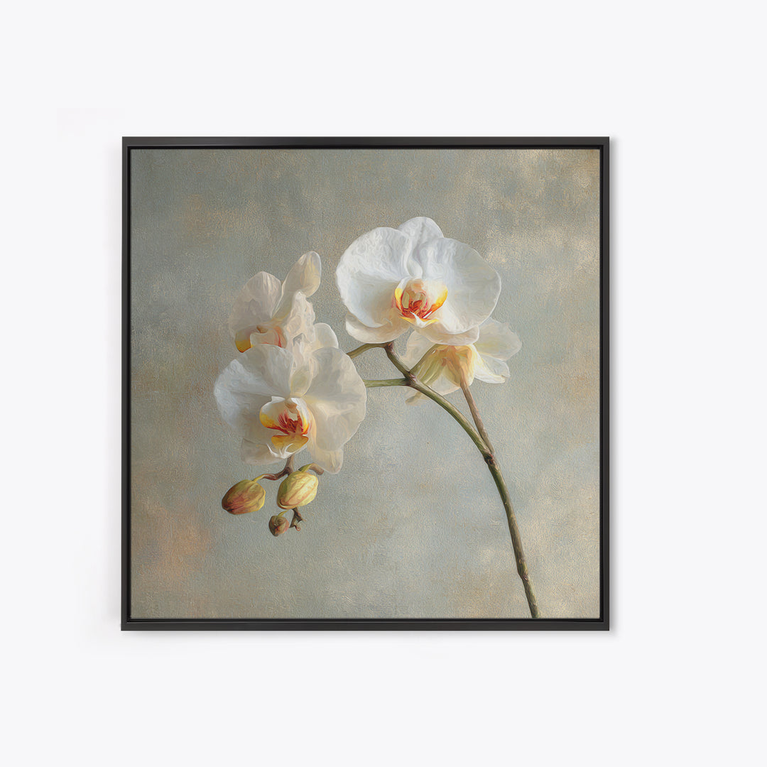 White Orchids Against Warm Gray Background Canvas Print, Master Bedroom, Art Print, Bedroom Decor, Fine Art, Sanctuary, MAS-1x1-81