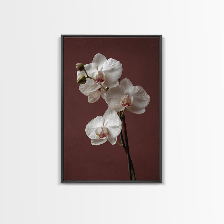 White Orchids Against Warm Gray Background Framed Canvas Print, Master Bedroom, Canvas Print, Bedroom Decor, Abstract Art, MAS-2x3-17