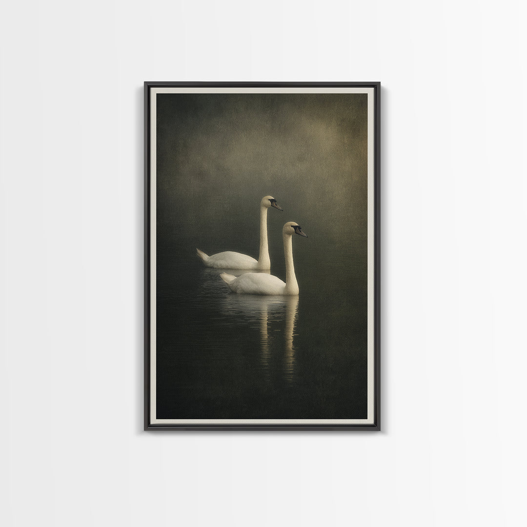 Romantic Swan Pair on Dark Water Canvas Print, Master Bedroom, Large Wall Art, Bedroom Decor, Sanctuary, Bedroom Prints, MAS-2x3-23