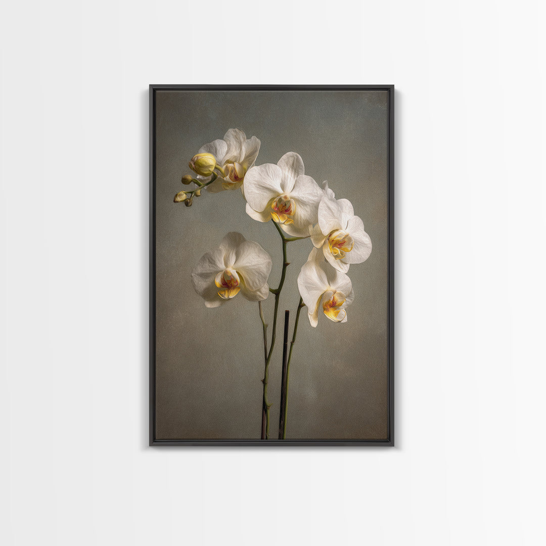 White Orchids Against Warm Gray Background Canvas Print, Master Bedroom, Farmhouse Wall Art, Bedroom Decor, Fine Art, Sanctuary, MAS-2x3-65