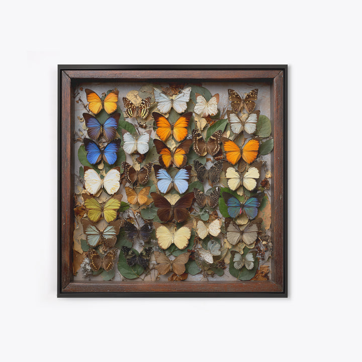 Framed Butterfly Collection Framed Canvas Print, Maximalist Art, Moody Wall Art, Living Room Decor, Fine Art, Maximal, MAX-1x1-71