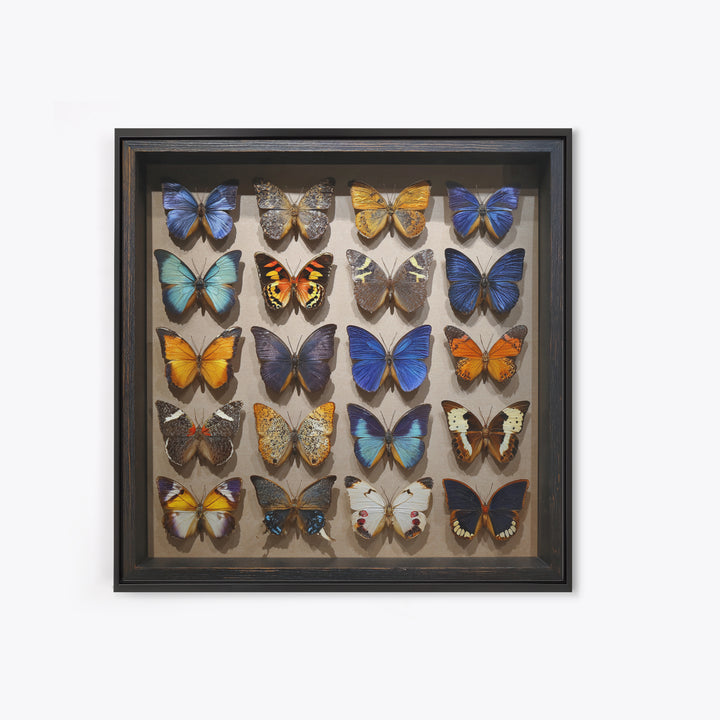 Framed Butterfly Collection Canvas Print, Maximalist Art, Fine Art Print, Living Room Decor, Fine Art, Maximal, Digital Prints, MAX-1x1-95