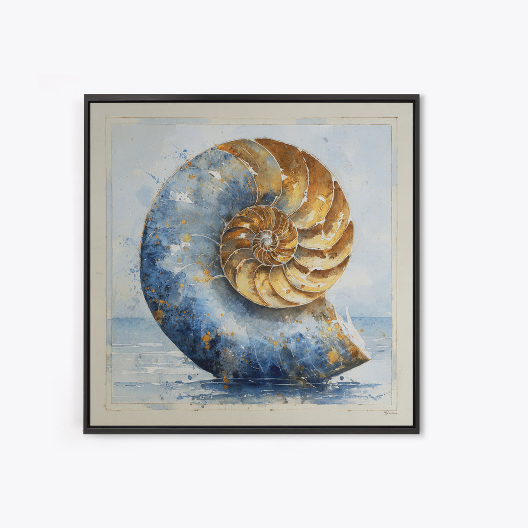Nautilus Shell Study Canvas Print, Marine Life Art, Beach House Decor, Living Room Decor, Fine Art, Marine, Tropical Wall Art, MLA-1x1-35
