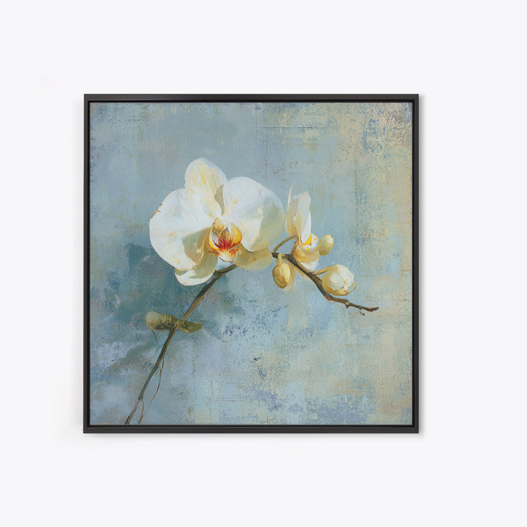 White Orchid on Gray Stone Surface Framed Canvas Print, Medical Office Art, Medical Wall Art, Office Decor, Fine Art, Calm, MOA-1x1-6