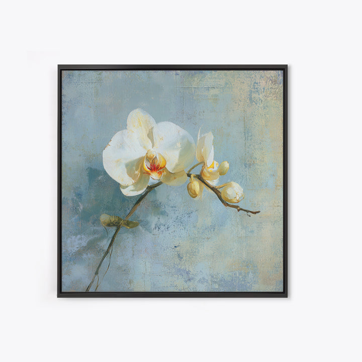 White Orchid on Gray Stone Surface Framed Canvas Print, Medical Office Art, Medical Wall Art, Office Decor, Fine Art, Calm, MOA-1x1-6
