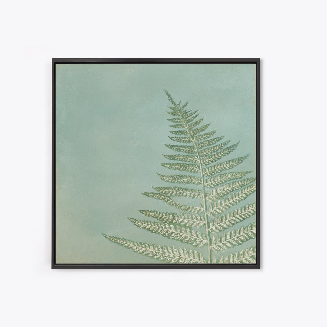 Minimal Green Fern Specimen Framed Canvas Print, Medical Office Art, Modern Decor, Office Decor, Fine Art, Calm, Home Decor, MOA-1x1-80