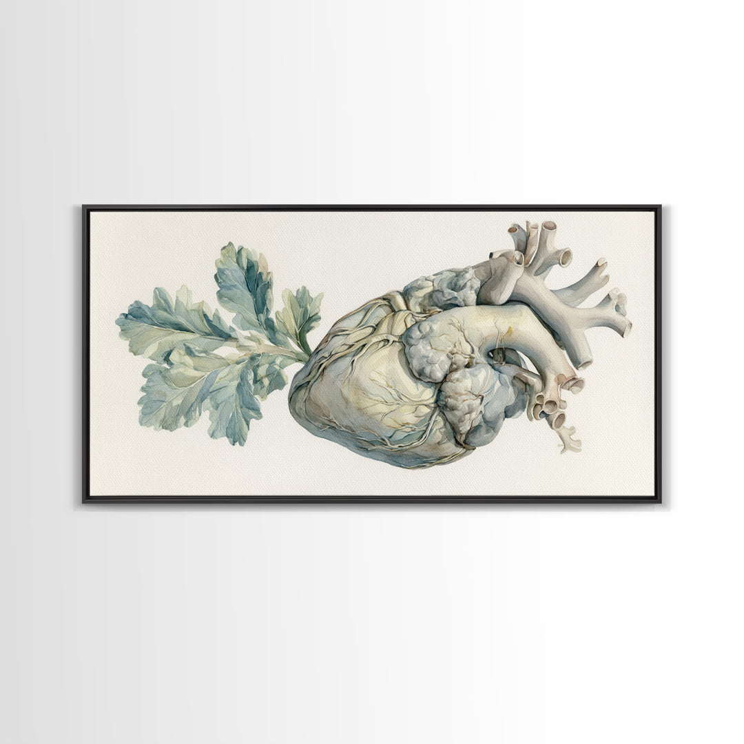 Anatomical Heart Rendered as Tasteful Botanical Art Canvas Print, Medical Office Art, Minimalist Art, Office Decor, Calm, MOA-2x1-81