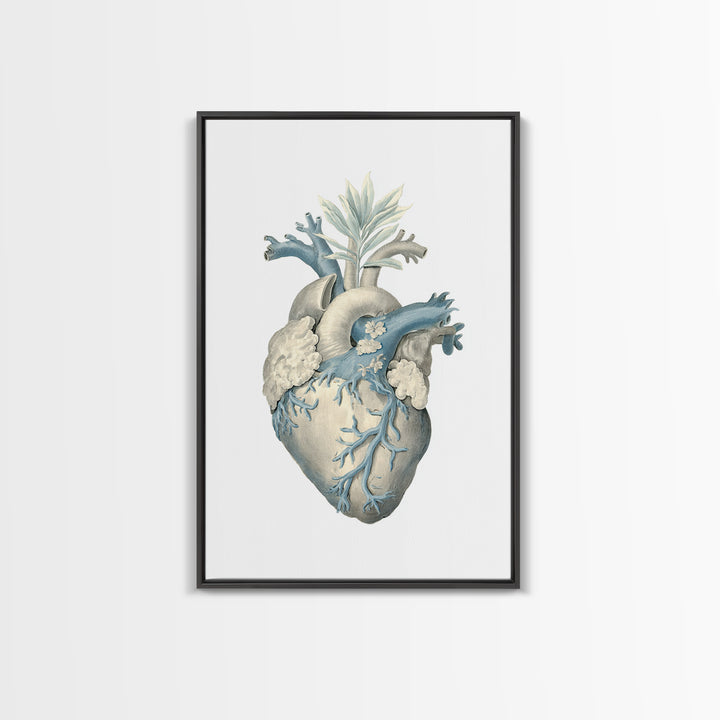 Anatomical Heart Rendered as Tasteful Botanical Art Canvas Print, Medical Office Art, Dental Office Decor, Office Decor, Calm, MOA-2x3-93