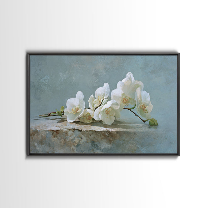 White Orchid on Gray Stone Surface Canvas Print, Medical Office Art, Brain Poster, Office Decor, Fine Art, Calm, Medical School, MOA-3x2-34
