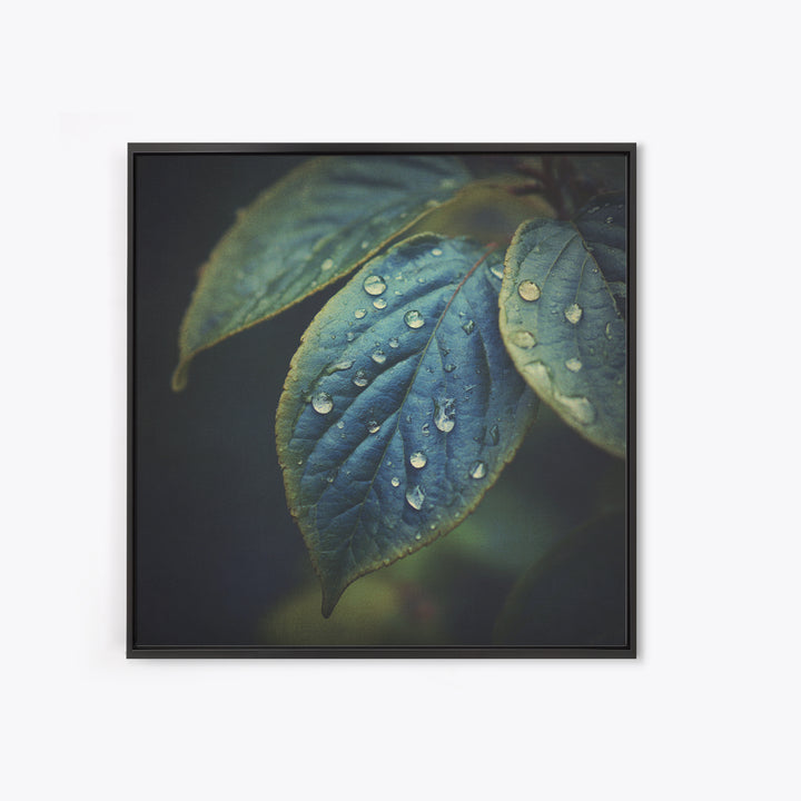 Rain Drops on a Large Green Leaf Framed Canvas Print, Nature Art, Statement Artwork, Living Room Decor, Fine Art, Nature, NAT-1x1-33