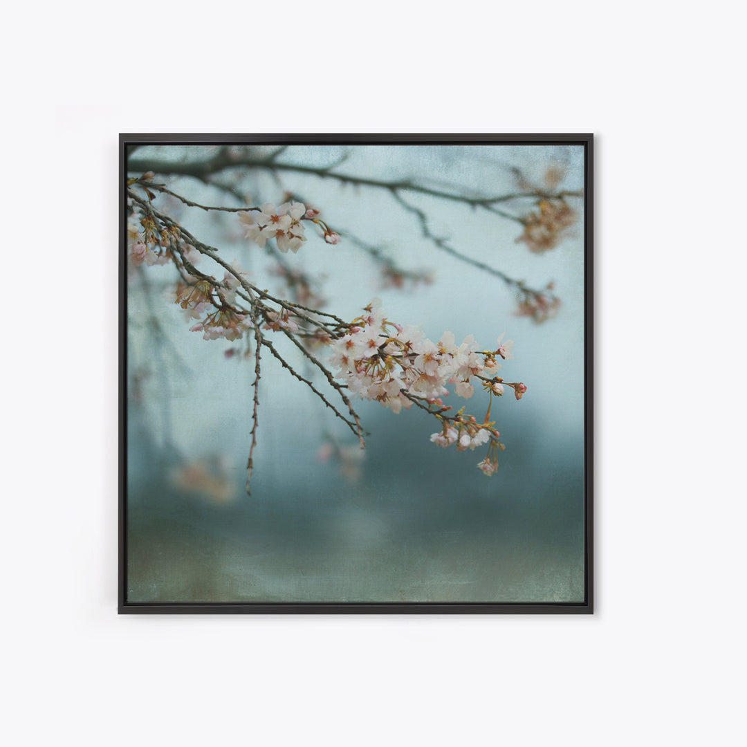 Spring Cherry Blossoms Framed Canvas Print, Nature Art, Art Print, Living Room Decor, Fine Art, Nature, Printable Wall Art, NAT-1x1-40