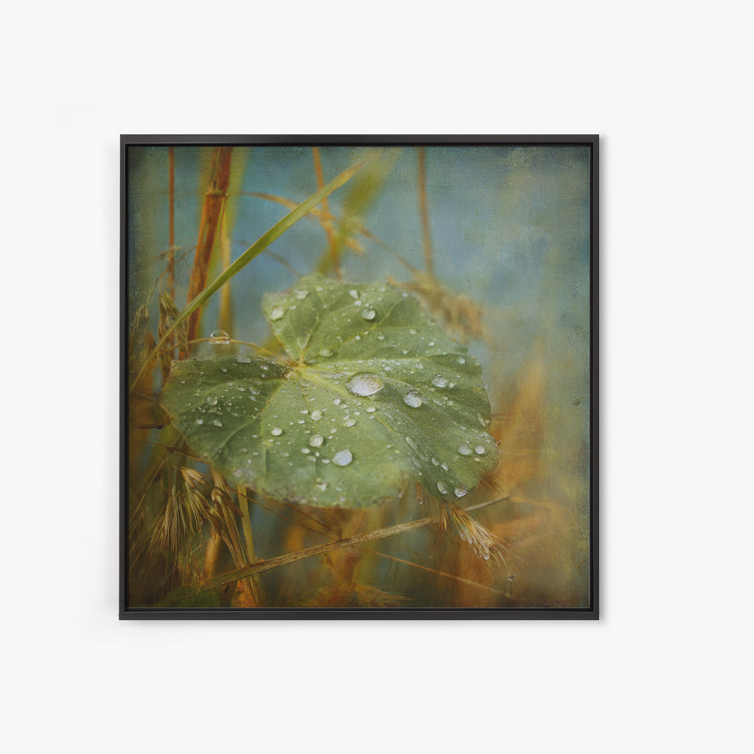 Rain Drops on a Large Green Leaf Framed Canvas Print, Nature Art, Statement Artwork, Living Room Decor, Fine Art, Nature, NAT-1x1-57