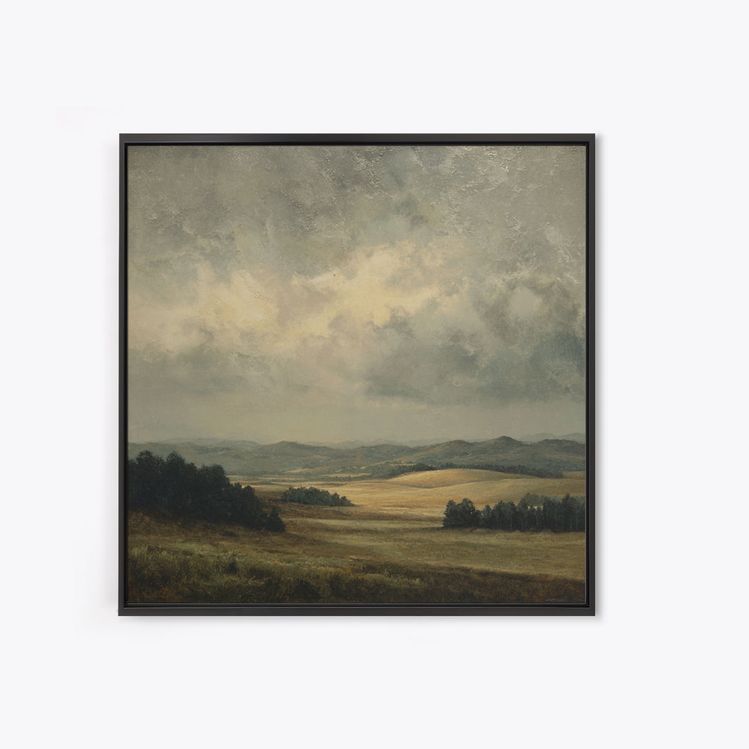 Storm Clouds over a Rolling Prairie Framed Canvas Print, Nature Art, Bird Wall Art, Living Room Decor, Fine Art, Nature, NAT-1x1-62