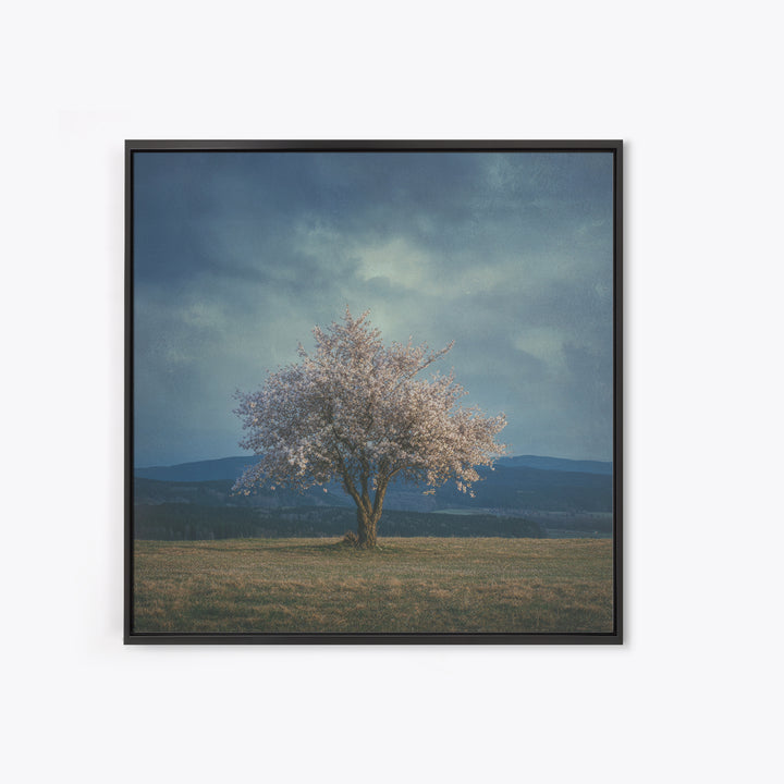 Spring Cherry Blossoms Framed Canvas Print, Nature Art, Modern Wall Art, Living Room Decor, Fine Art, Nature, Mountain Art, NAT-1x1-64