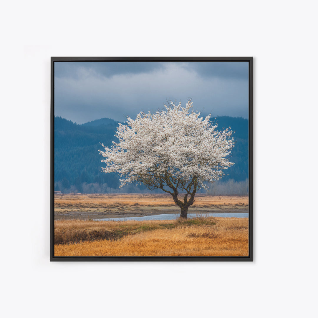 Spring Cherry Blossoms Framed Canvas Print, Nature Art, Textured Painting, Living Room Decor, Fine Art, Nature, NAT-1x1-88