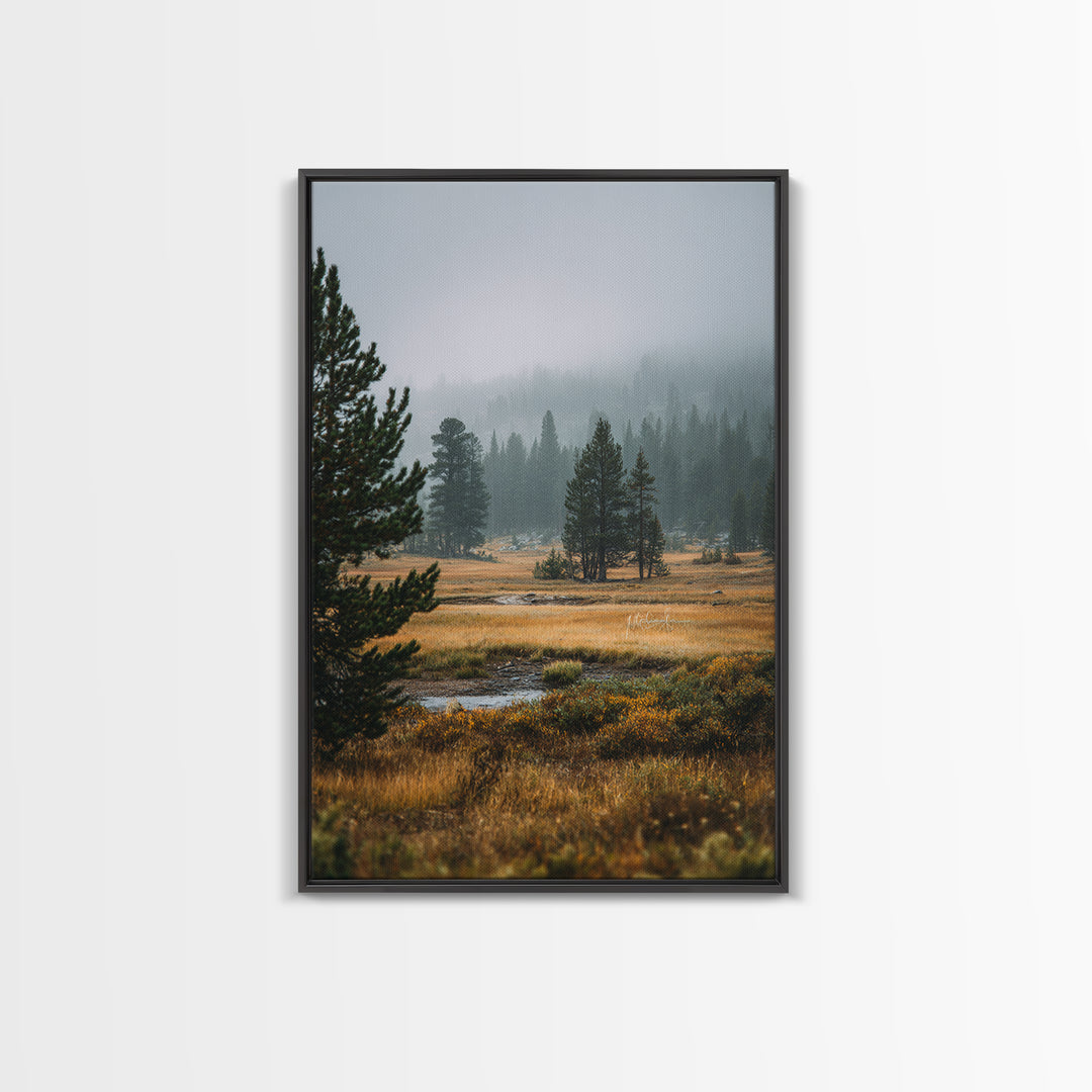Moody Pine Forest Framed Canvas Print, Nature Art, Framed Art, Living Room Decor, Nature, Botanical Art, Digital Download Art, NAT-2x3-73