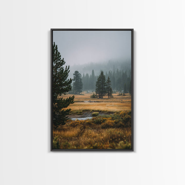 Moody Pine Forest Framed Canvas Print, Nature Art, Framed Art, Living Room Decor, Nature, Botanical Art, Digital Download Art, NAT-2x3-73