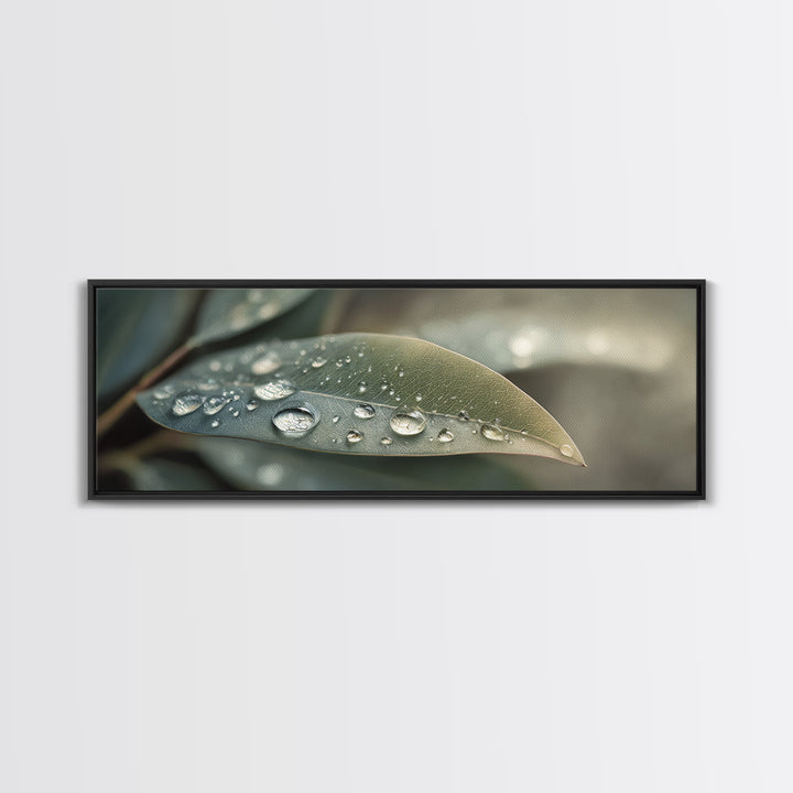 Rain Drops on a Large Green Leaf Canvas Print, Nature Art, Living Room Wall Art, Living Room Decor, Fine Art, Nature, NAT-3x1-25