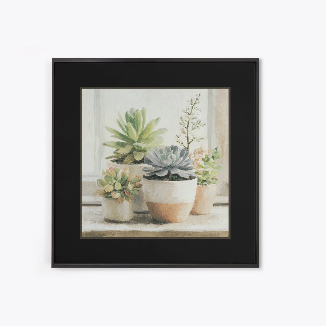 Succulent Collection in Ceramic Planters Framed Canvas Print, Patio Art, Mixed Media Art, Patio Decor, Fine Art, Outdoor, PAT-1x1-21