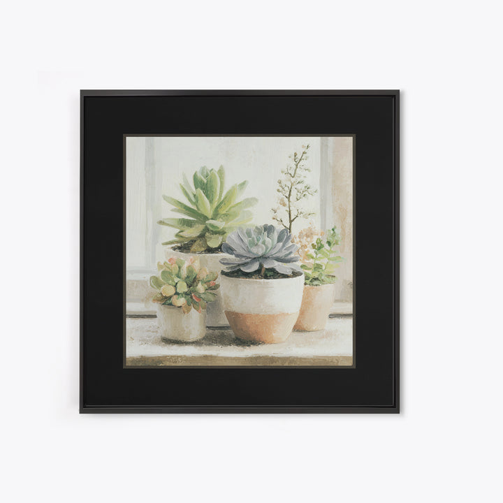 Succulent Collection in Ceramic Planters Framed Canvas Print, Patio Art, Mixed Media Art, Patio Decor, Fine Art, Outdoor, PAT-1x1-21