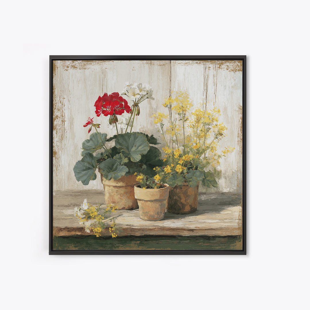 Potted Geraniums in Rustic Clay Pots Framed Canvas Print, Patio Art, Family Wall Art, Patio Decor, Fine Art, Outdoor, PAT-1x1-38