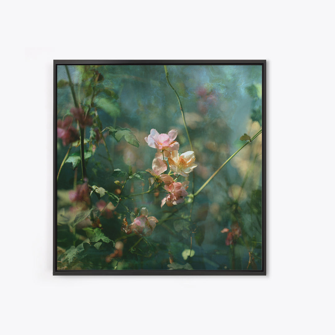 Sunset over Garden Flowers and Vines Framed Canvas Print, Patio Art, Fine Art Print, Patio Decor, Fine Art, Outdoor, Wall Decor, PAT-1x1-79