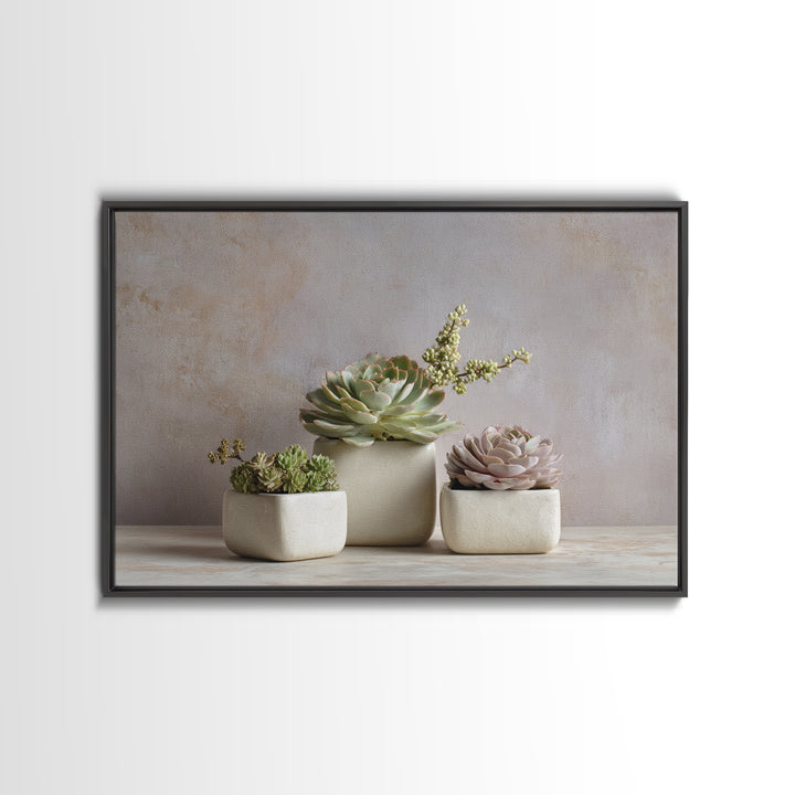 Succulent Collection in Ceramic Planters Framed Canvas Print, Patio Art, Patio Decor, Abstract Art, Outdoor, Gallery Decor, PAT-3x2-25