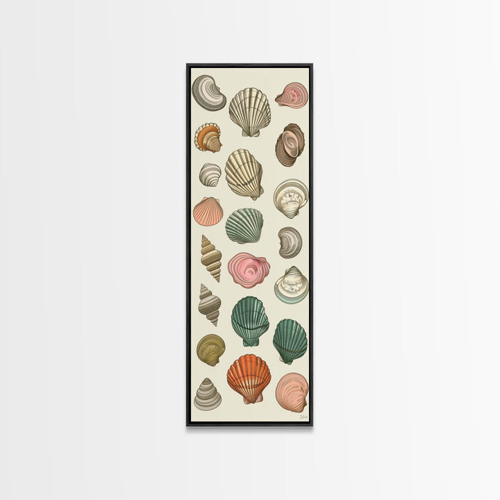Elegant Sea Shell Collection in Vintage Style on Tall Vertical Canvas Print Perfect for Coastal-Themed Wall Decor