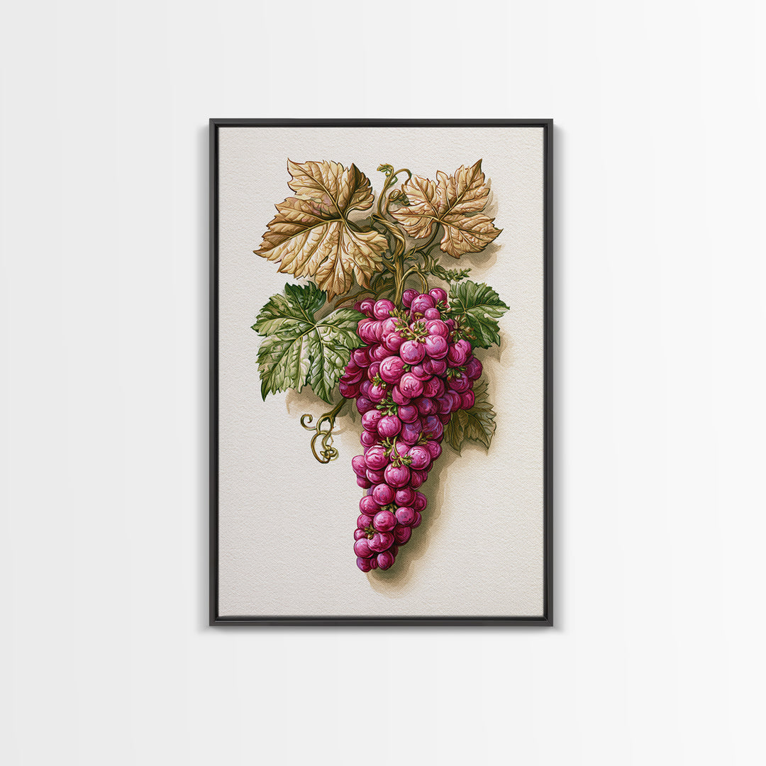 Wine Grapevine Botanical Study Canvas Print, Restaurant Art, Canvas, Restaurant Decor, Fine Art, Bistro, Living Room Decor, RES-2x3-23