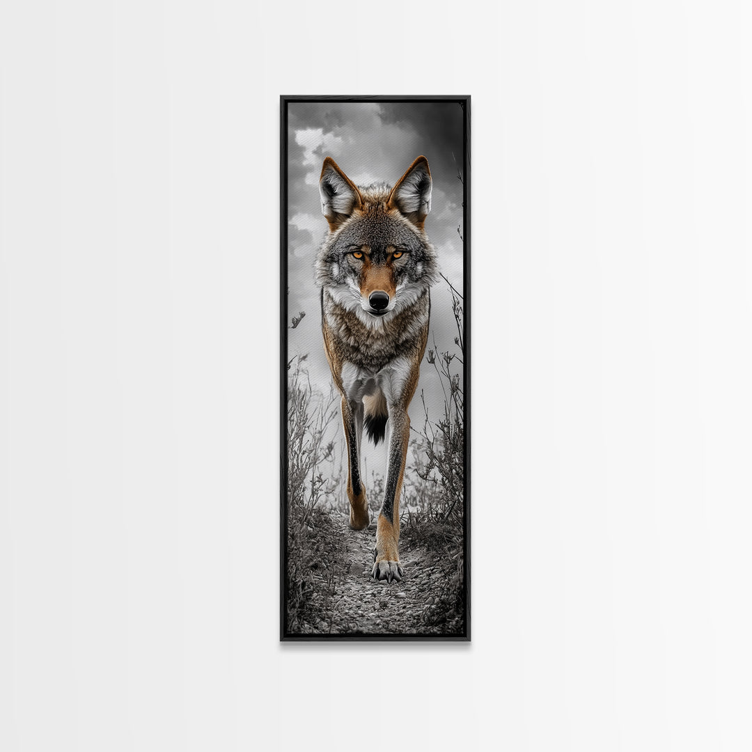 Intense Coyote Stare Framed Canvas Print | Wildlife Wall Art | Rustic Decor | Moody Art | Southwest Wall Art | Above Sofa Art | Gift Idea