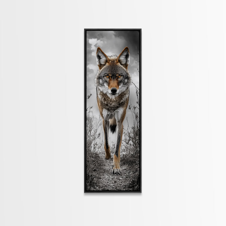Intense Coyote Stare Framed Canvas Print | Wildlife Wall Art | Rustic Decor | Moody Art | Southwest Wall Art | Above Sofa Art | Gift Idea