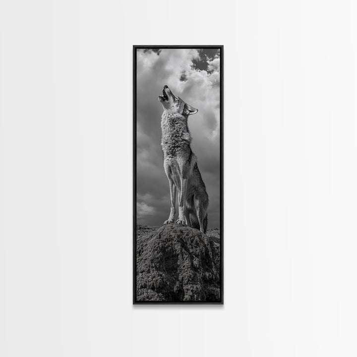 Howling Coyote, Framed Canvas Print, southwest wall art, rustic wall art, wildlife photography, desert landscape art, cowboy art, boho home decor